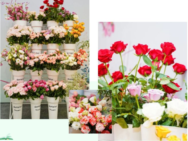 1660877792121952.png 1.png