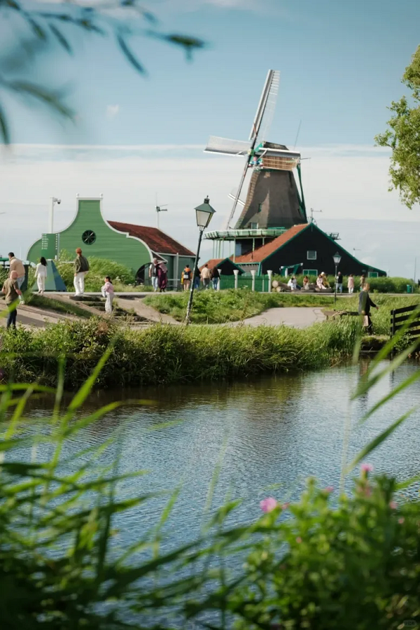 1728633982271892.png 17.png